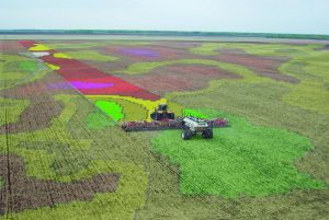 Agricultura de precision Administración de Nutrientes 4R