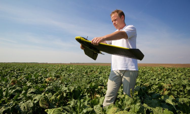 Estrategias de Agricultura de Precision