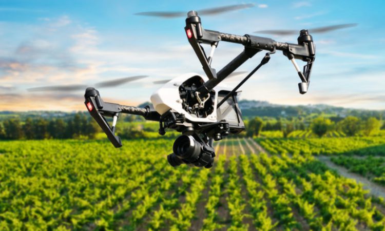 Drones en Agricultura de Precision por cual decidirse