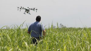 Drones en la Agricultura de Precisión