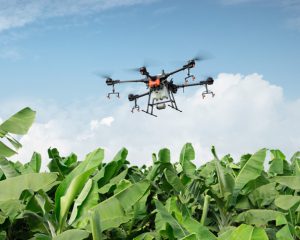 Drones en la Agricultura de Precisión que dron usar