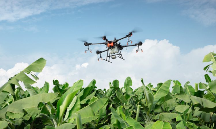 Drones en la Agricultura de Precisión que dron usar