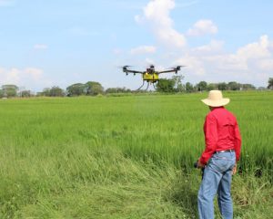 Drones en la Agricultura una opcion viable