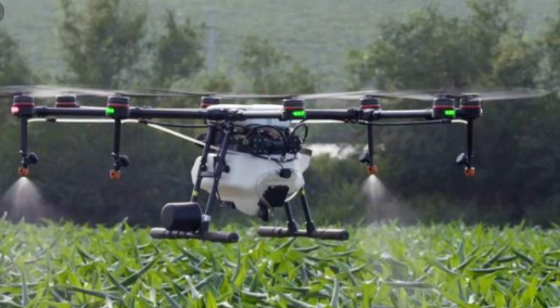Drones para el control de plagas, el drástico plan para sitios