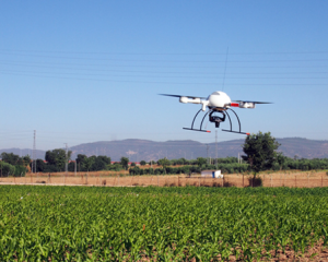 La agricultura de precisión hace uso de los drones agricolas