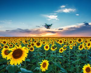 La agricultura de precisión y los drones agricolas