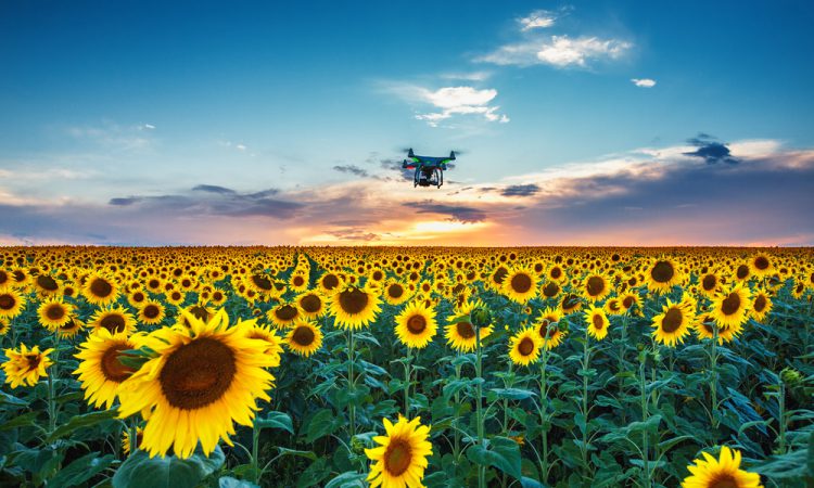 La agricultura de precisión y los drones agricolas