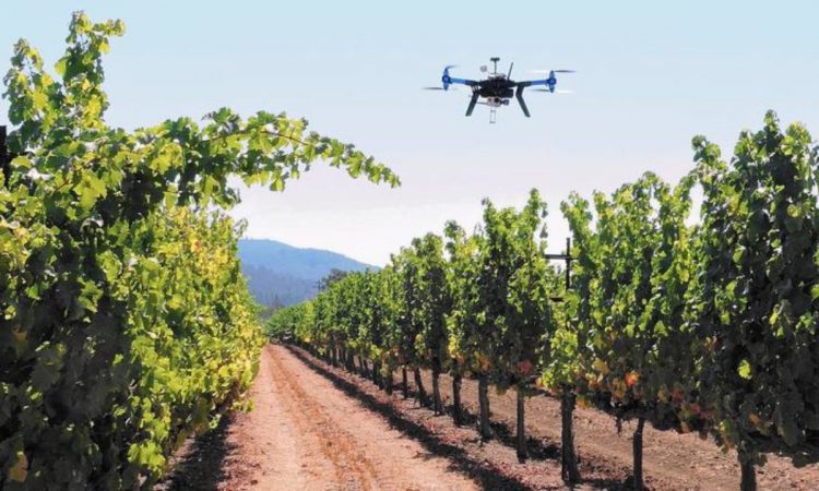 Los desafíos a los que se enfrenta la agricultura de precisión