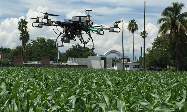 Riego de Precisión con Drones