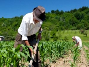 agricultura de precision para los pequeños agricultores de los paises en desarrollo