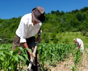 agricultura de precision para los pequeños agricultores de los paises en desarrollo