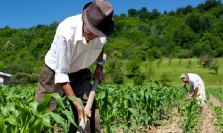 agricultura de precision para los pequeños agricultores de los paises en desarrollo