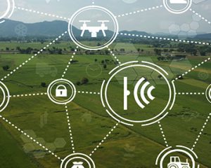 datos en tiempo real los sensores de la agricultura 4.0