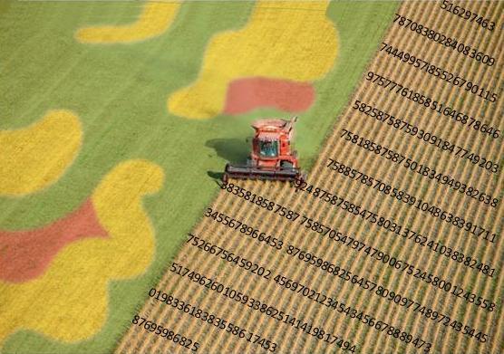 variabilidad espacial y temporal agricultura de precision